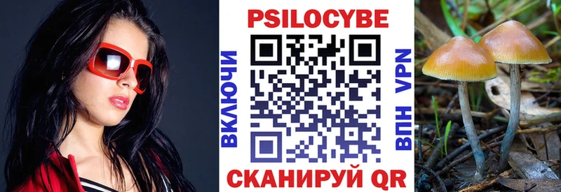 Галлюциногенные грибы мицелий  Шарыпово 